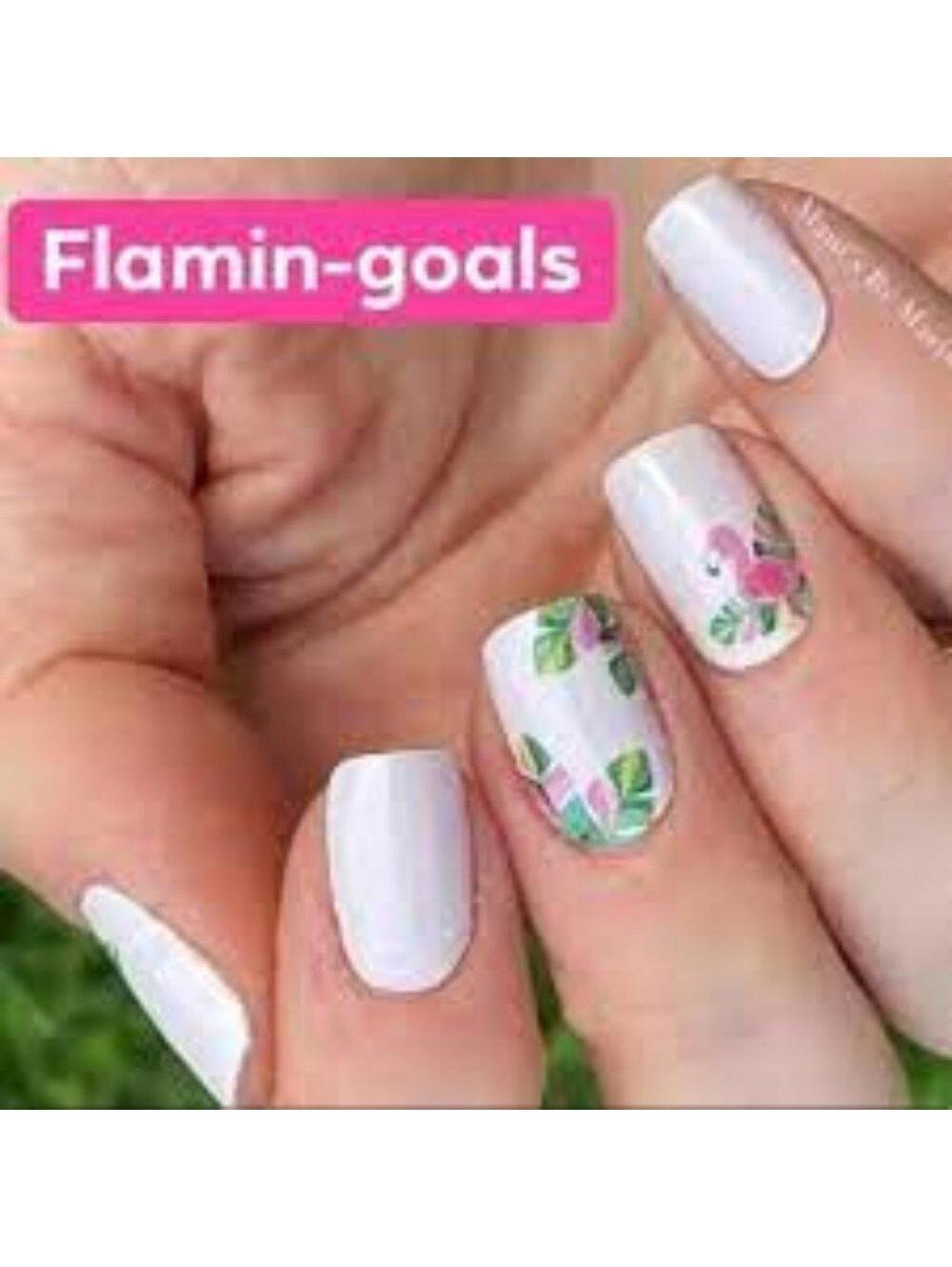 Color Street Flamin-goals Retired Nail Art Design Nail Strips
